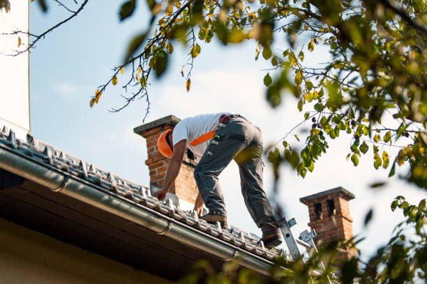 Best Flat Roof Repair Services  in Heyworth, IL